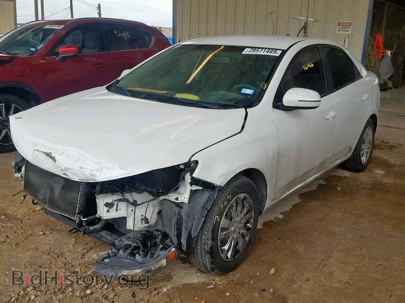 2011 KIA FORTE EX - VIN: KNAFU4A25B5461297 - Фото 2