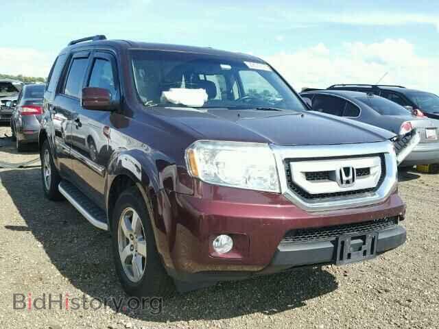 Photo 5FNYF48539B050270 - HONDA PILOT 2009