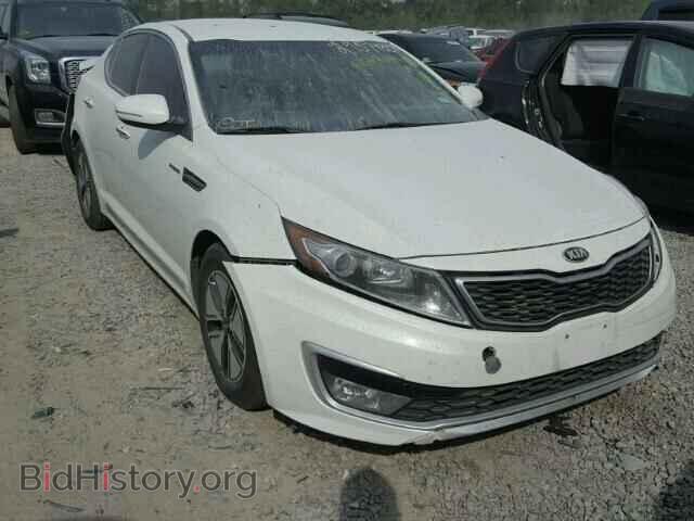 Фотография KNAGM4AD3D5057262 - KIA OPTIMA 2013