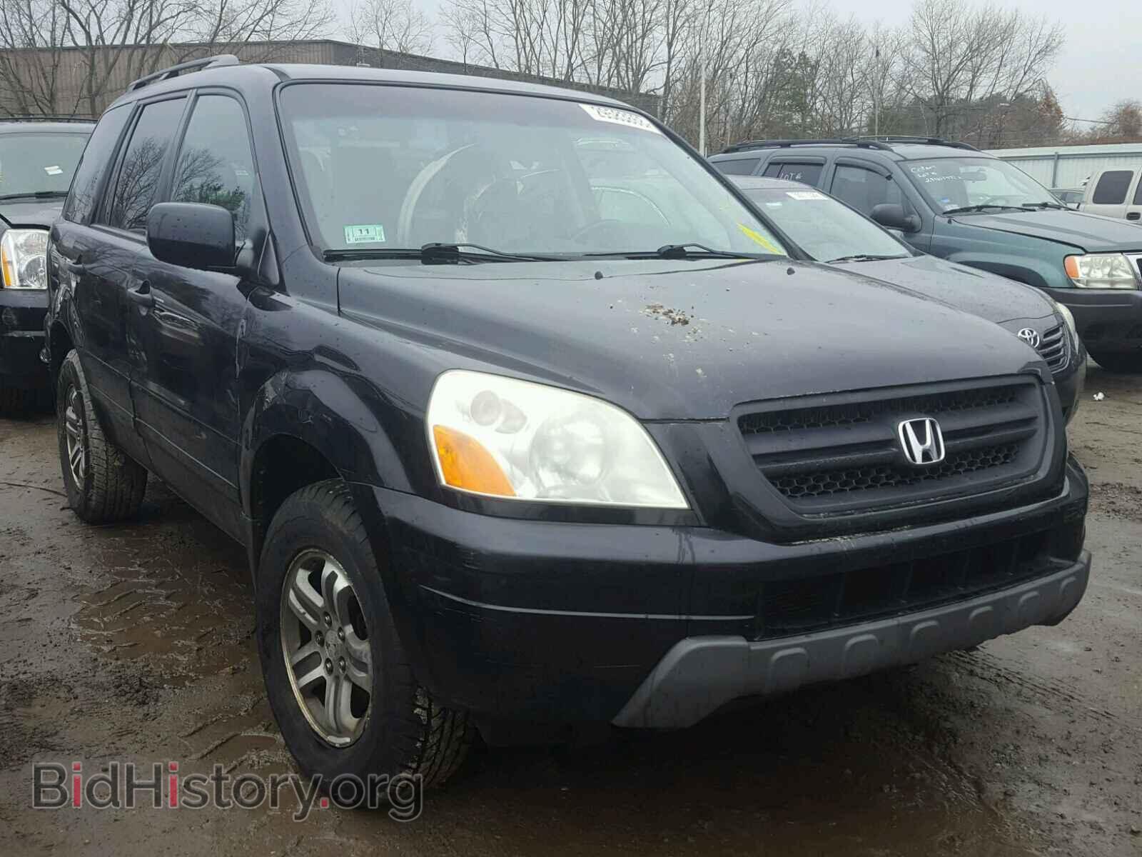 Photo 5FNYF18525B042413 - HONDA PILOT 2005