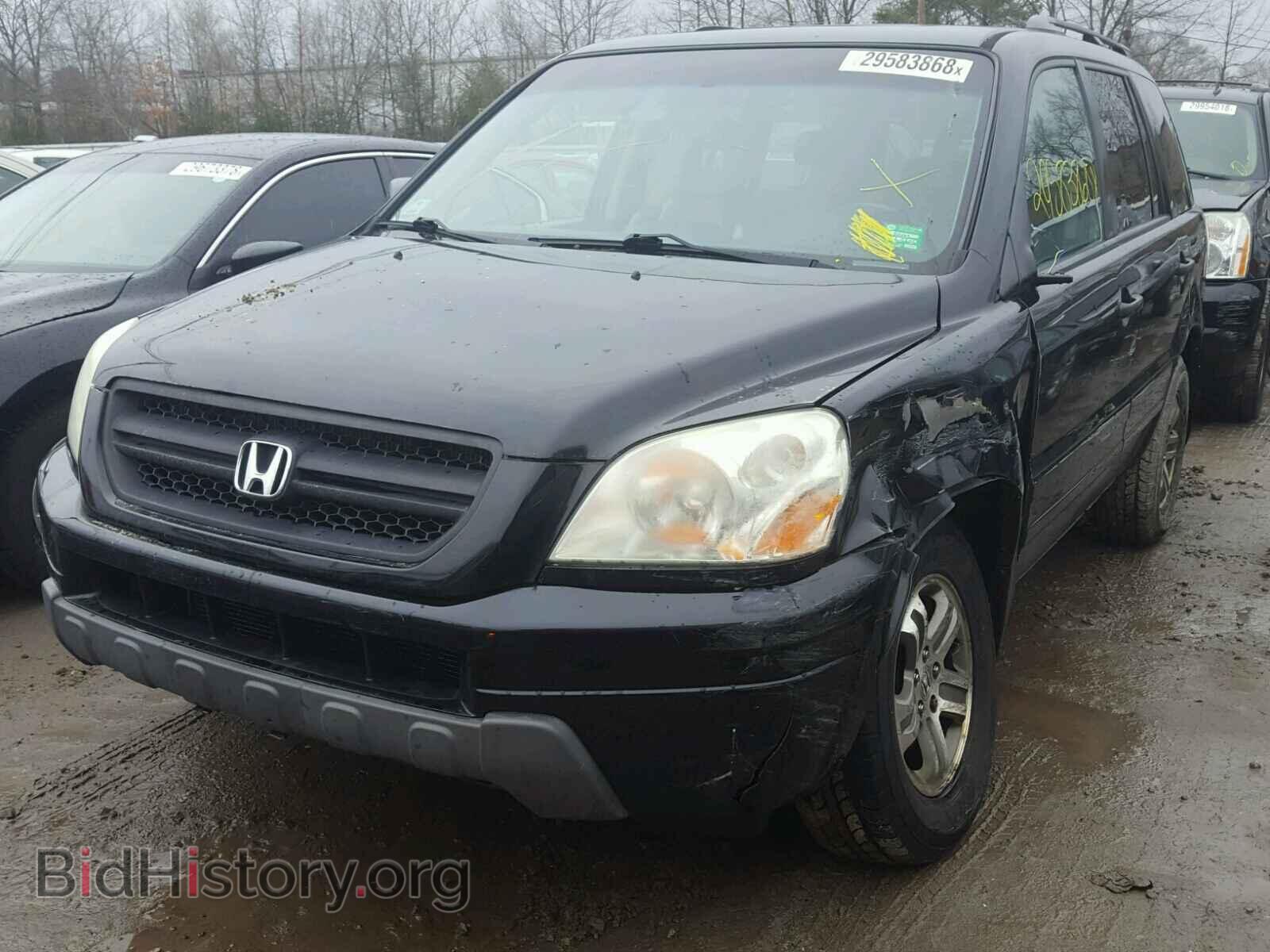 2005 HONDA PILOT - VIN: 5FNYF18525B042413 - Фото 2