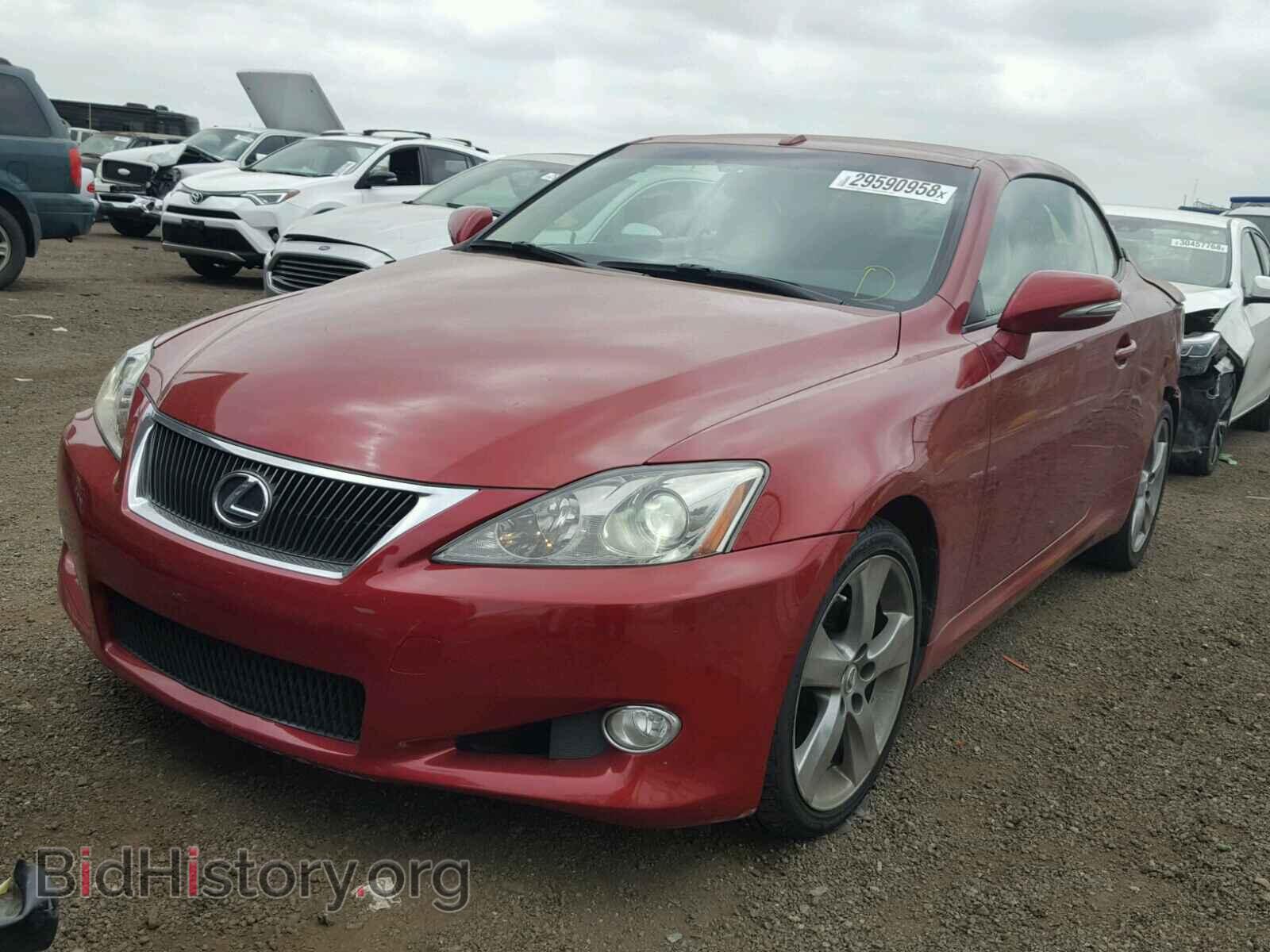 2010 LEXUS IS250 - VIN: JTHFF2C29A2504455 - Фото 2