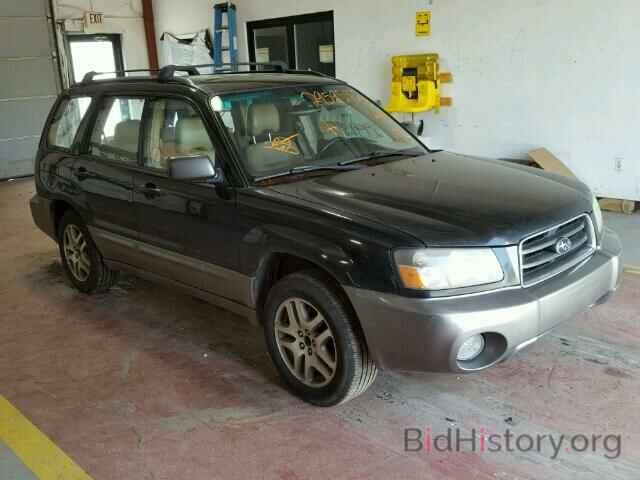 Photo JF1SG67645H721423 - SUBARU FORESTER 2005