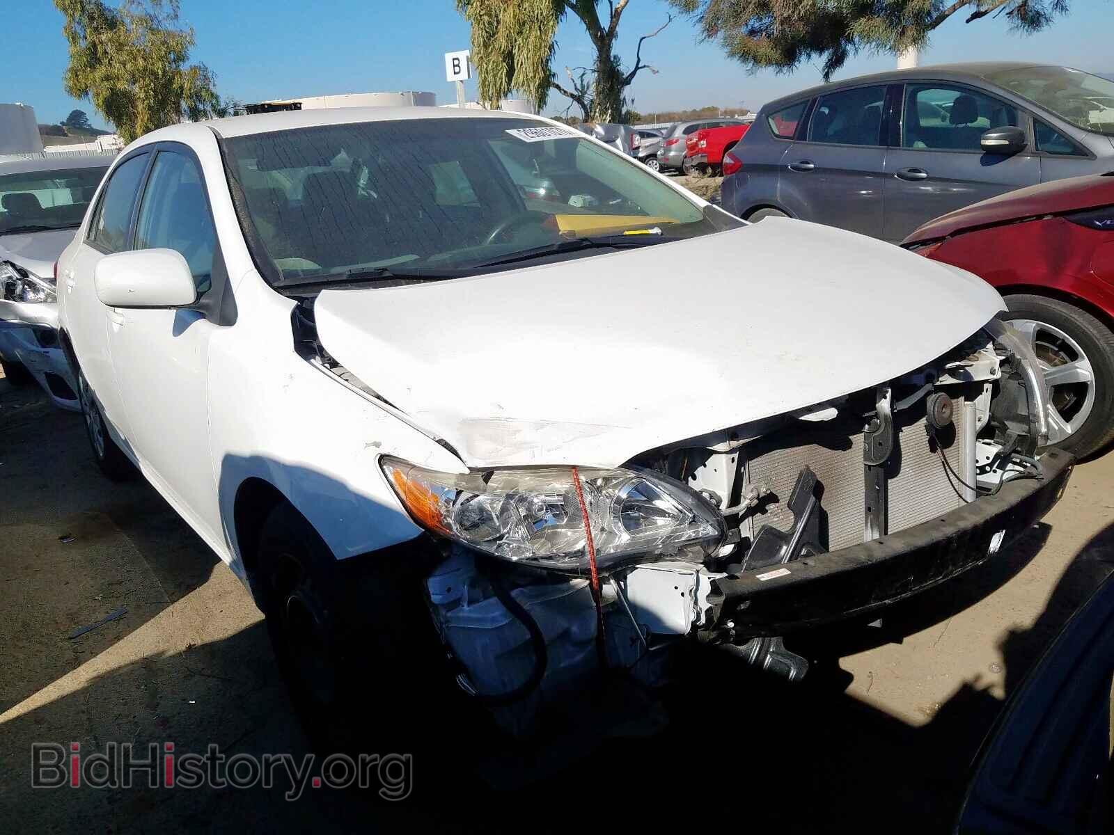 Photo 2T1BU4EE7BC557490 - TOYOTA COROLLA 2011