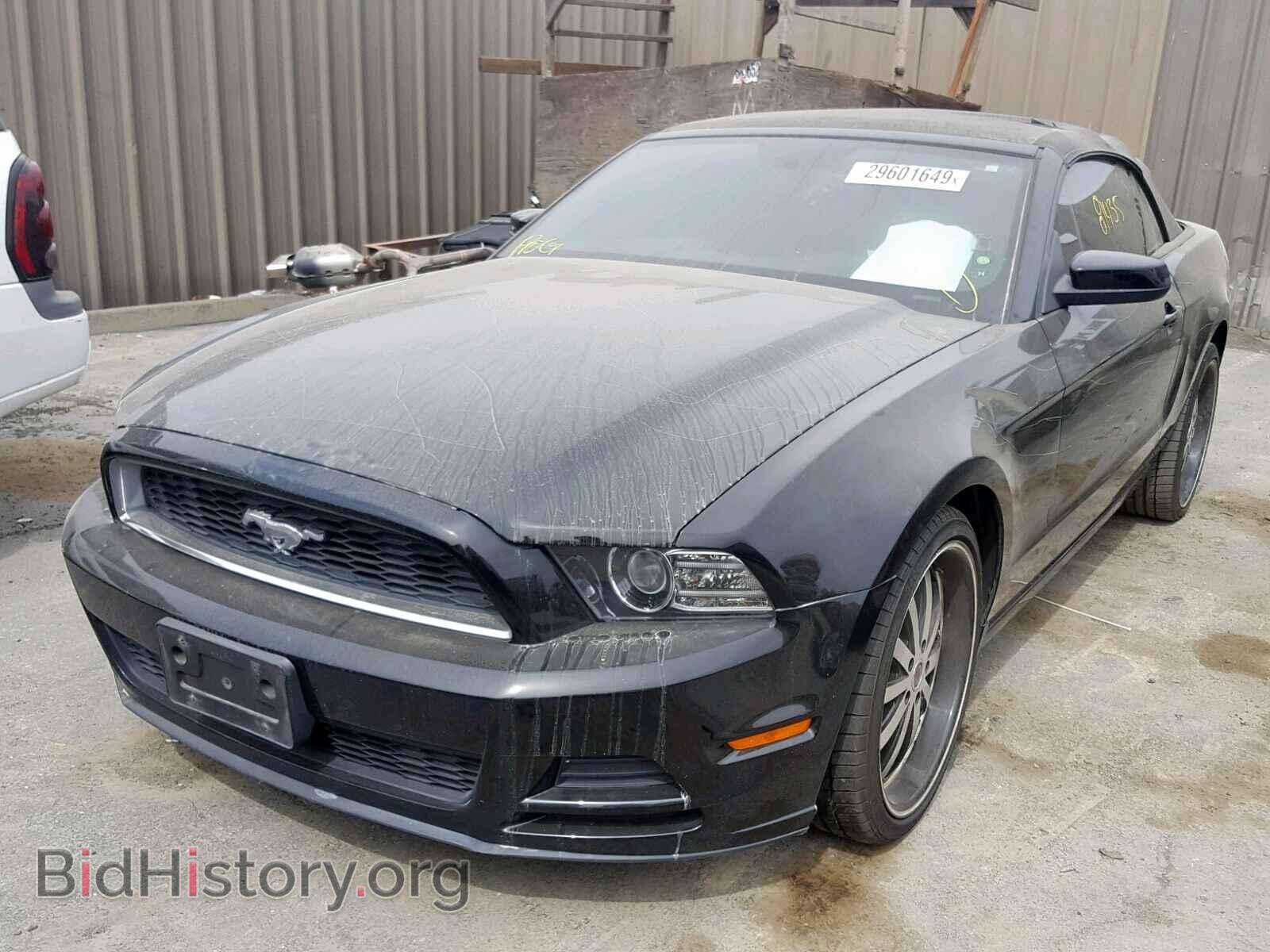 2013 FORD MUSTANG - VIN: 1ZVBP8EM9D5203473 - Фото 2