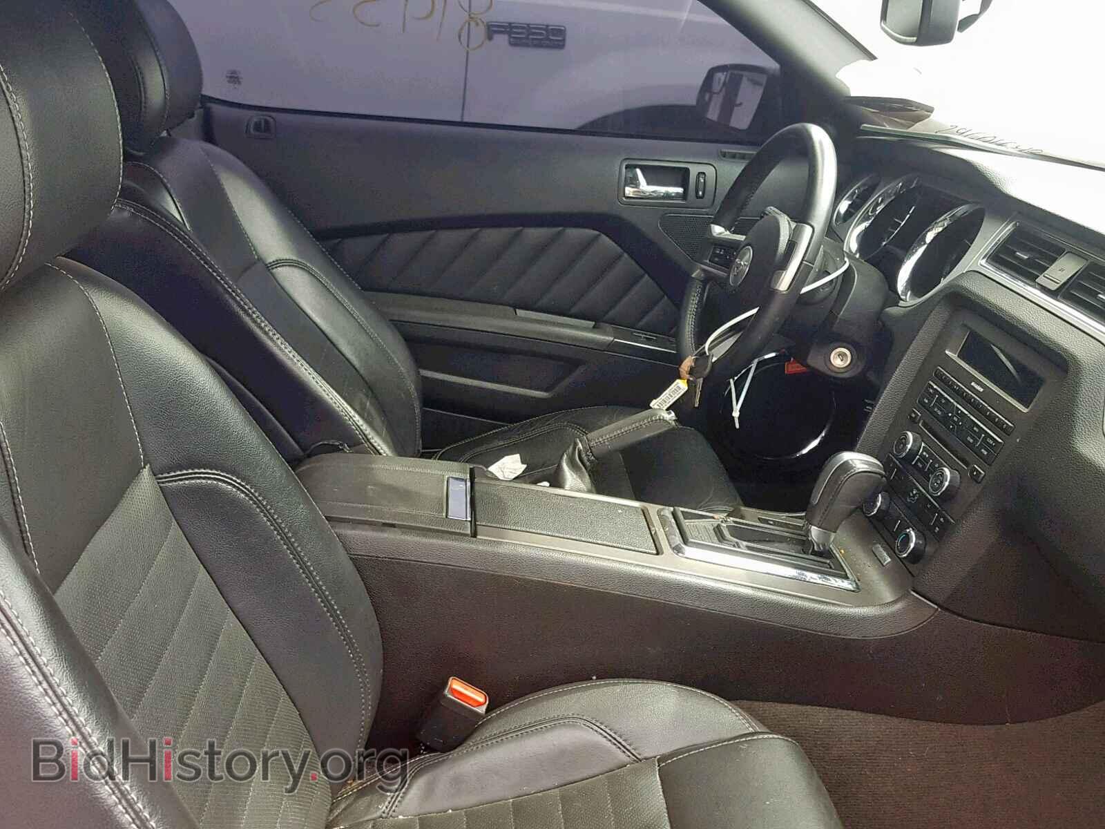 2013 FORD MUSTANG - VIN: 1ZVBP8EM9D5203473 - Фото 5