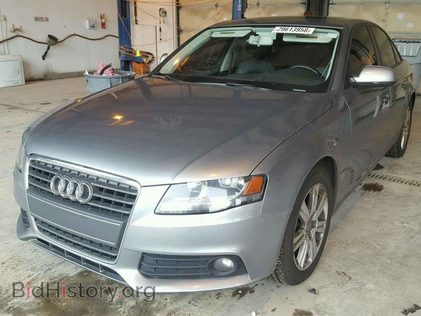 2010 AUDI A4 - VIN: WAUAFAFL2AN036588 - Фото 2