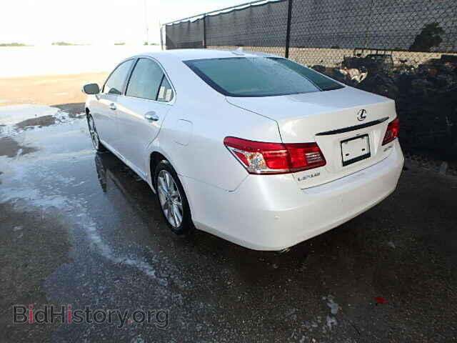 2010 LEXUS ES350 - VIN: JTHBK1EG8A2405056 - Фото 3