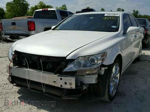 2011 LEXUS LS460 - VIN: JTHBL5EF6B5105771 - Фото 2
