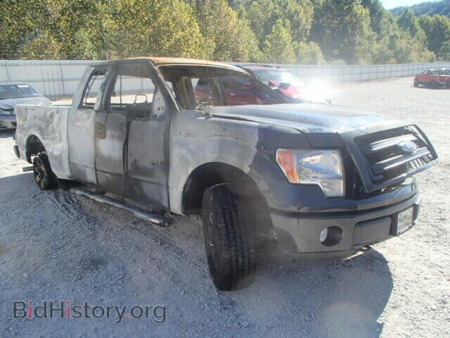 Фотография 1FTFX1EF1DKF08660 - FORD F150 2013