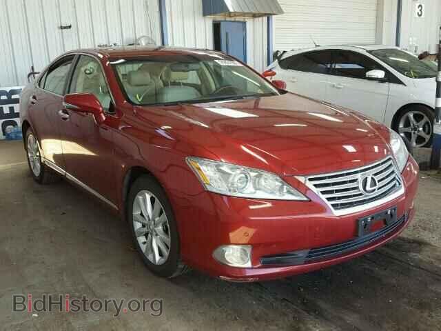 Photo JTHBK1EG0C2512587 - LEXUS ES350 2012