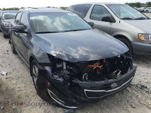 Фотография KNAGM4AD5D5061894 - KIA OPTIMA 2013
