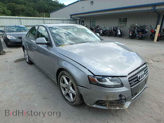 Фотография WAULF78K39N024171 - AUDI A4 2009