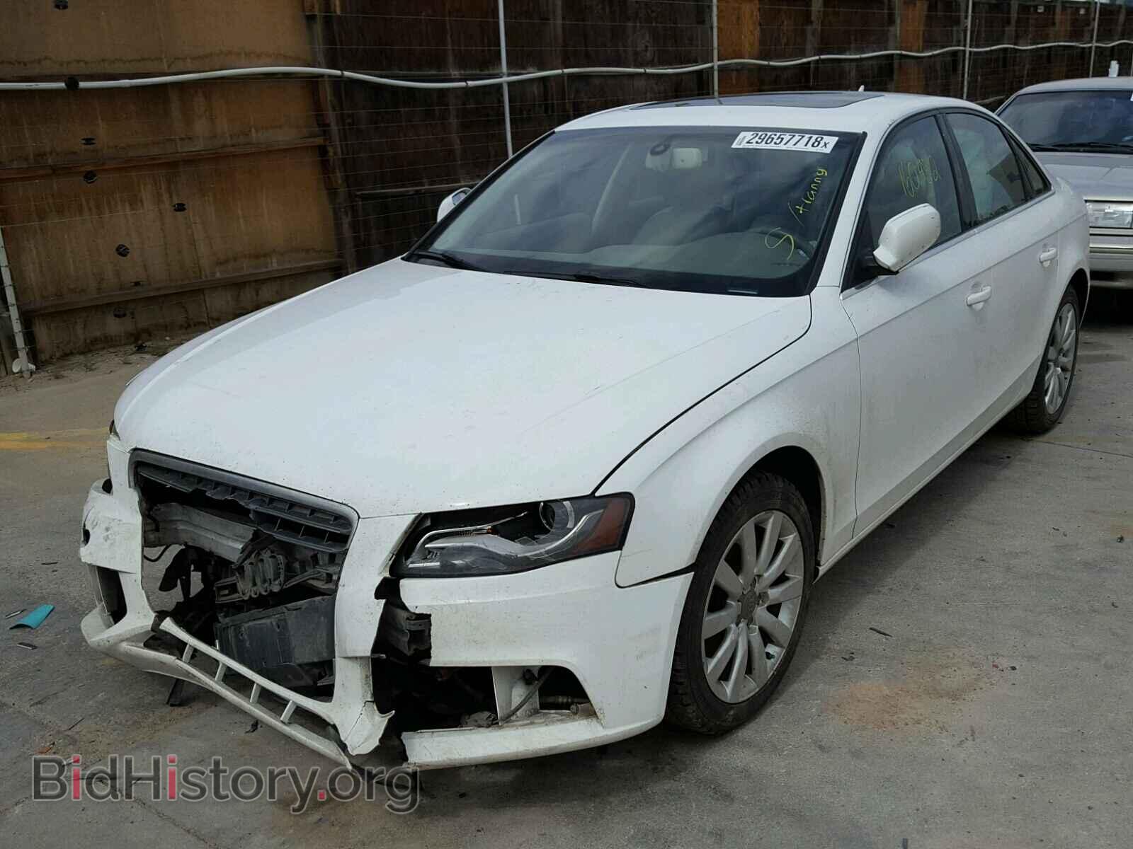 2011 AUDI A4 - VIN: WAUFFAFL8BN021794 - Фото 2