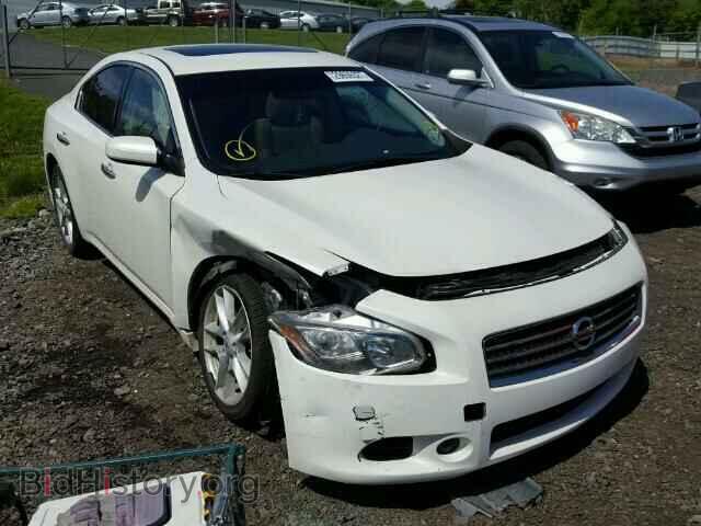 Photo 1N4AA5AP8BC821025 - NISSAN MAXIMA S 2011