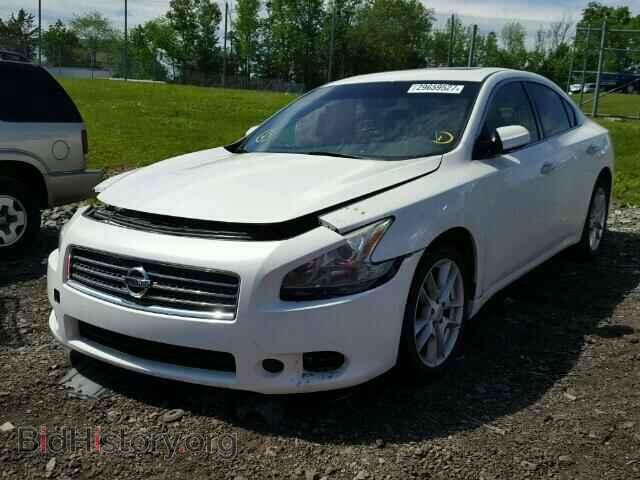 2011 NISSAN MAXIMA S - VIN: 1N4AA5AP8BC821025 - Фото 2