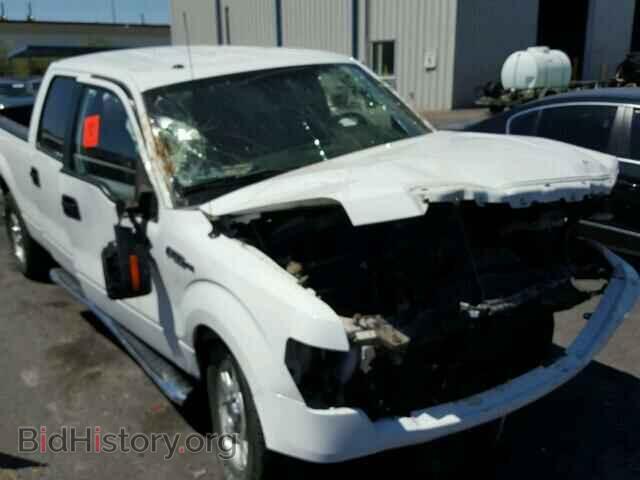 2013 FORD F150 - VIN: 1FTFW1EF7DFD18700 - Фото 10