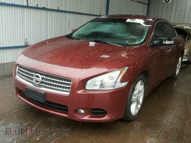 2010 NISSAN MAXIMA - VIN: 1N4AA5AP8AC825073 - Фото 2