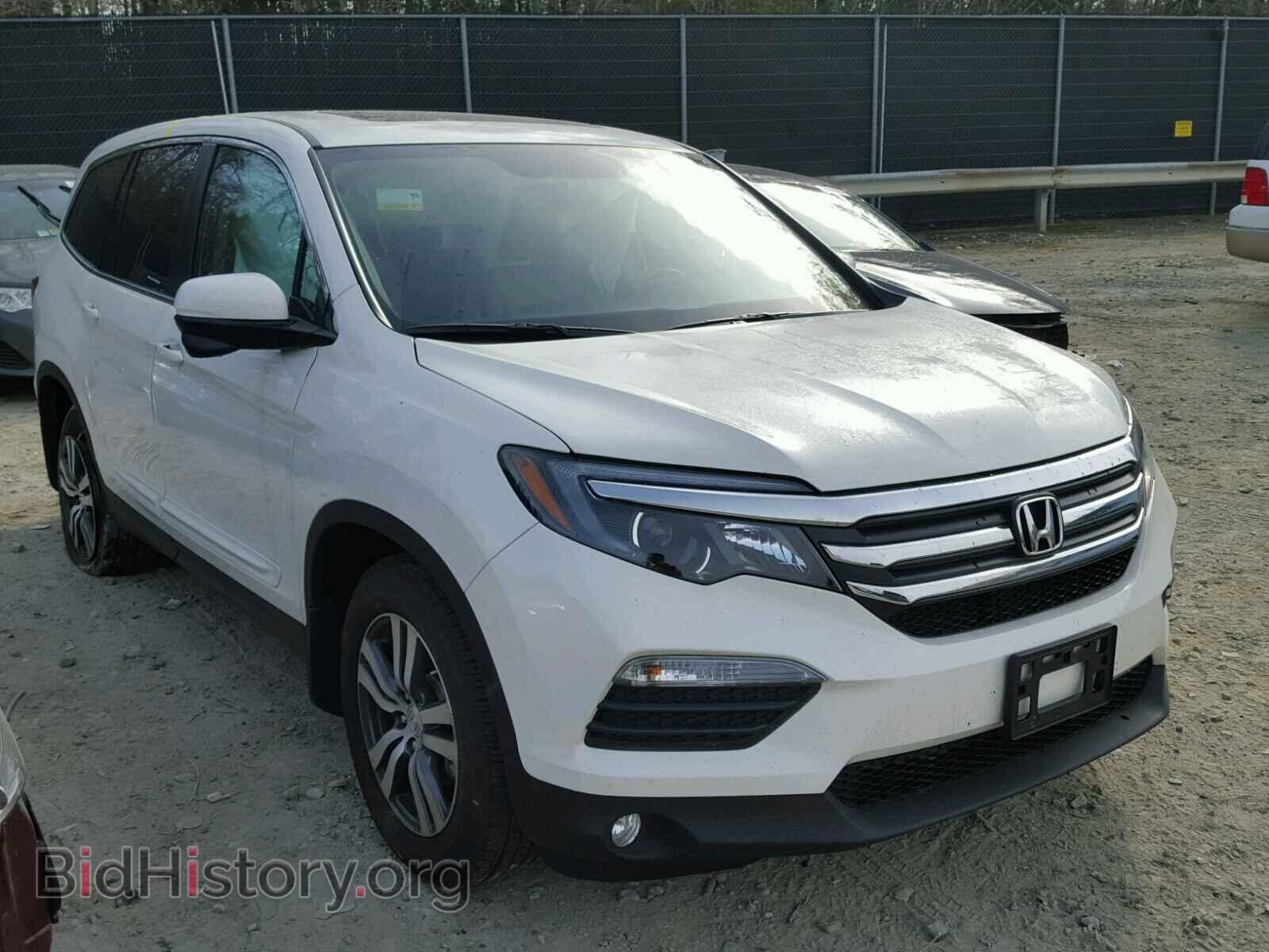 Photo 5FNYF6H74HB058308 - HONDA PILOT 2017