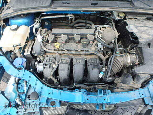 2013 FORD FOCUS - VIN: 1FADP3F25DL363184 - Фото 7