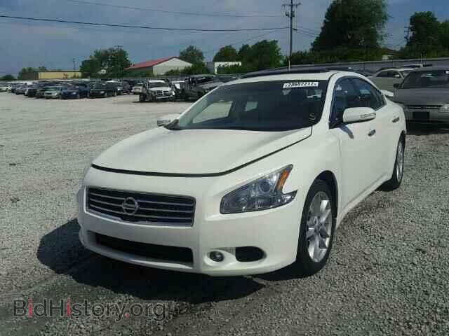 2010 NISSAN MAXIMA - VIN: 1N4AA5AP8AC854802 - Фото 2