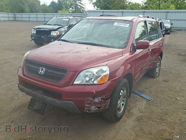 2005 HONDA PILOT - VIN: 5FNYF18625B062556 - Фото 2