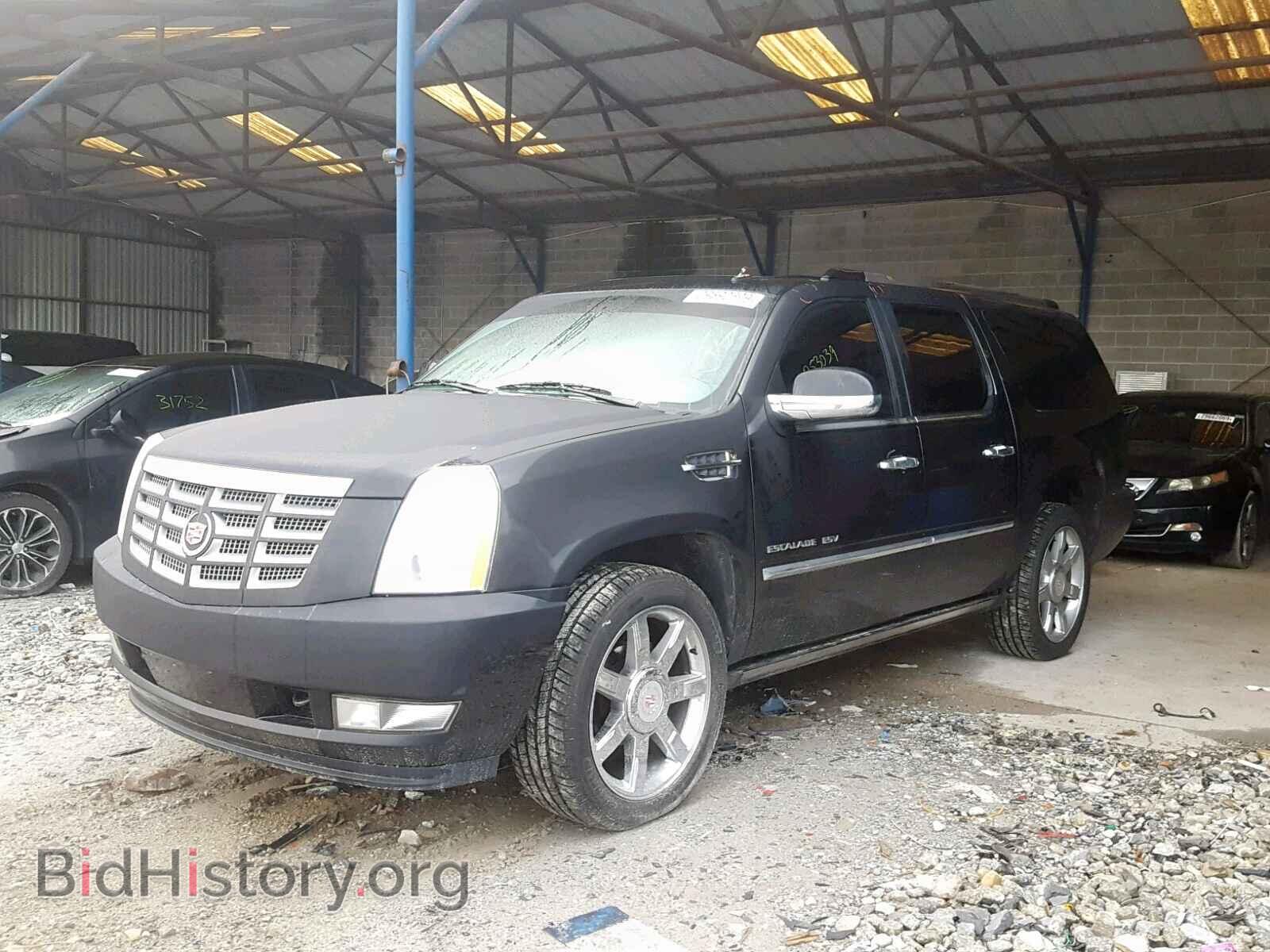 2011 CADILLAC ESCALADE E - VIN: 1GYS4JEF8BR385364 - Фото 2