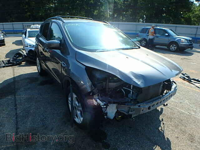 Фотография 1FMCU0GX2DUC76033 - FORD ESCAPE 2013