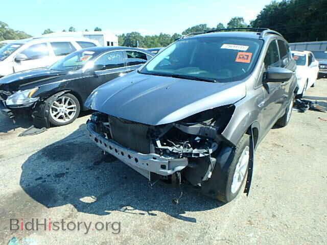 2013 FORD ESCAPE - VIN: 1FMCU0GX2DUC76033 - Фото 2