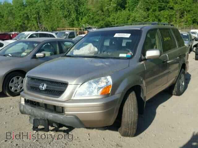2005 HONDA PILOT - VIN: 5FNYF18595B050458 - Фото 2