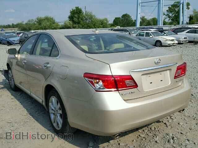 2010 LEXUS ES350 - VIN: JTHBK1EG1A2410812 - Фото 3