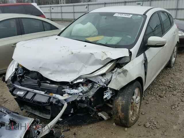 2014 FORD FOCUS - VIN: 1FADP3K29EL310561 - Фото 2