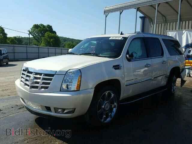 2011 CADILLAC ESCALADE - VIN: 1GYS4HEF3BR167289 - Фото 2