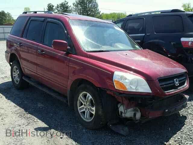 Photo 2HKYF18595H564036 - HONDA PILOT 2005