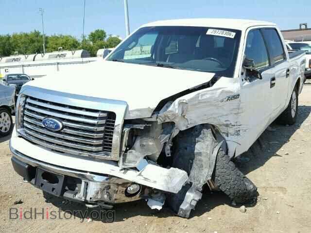 2011 FORD F150 - VIN: 1FTFW1EF5BKD03617 - Фото 2