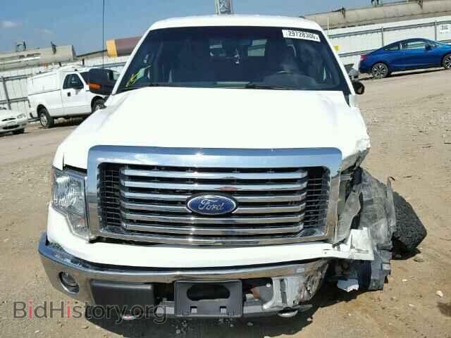 2011 FORD F150 - VIN: 1FTFW1EF5BKD03617 - Фото 10