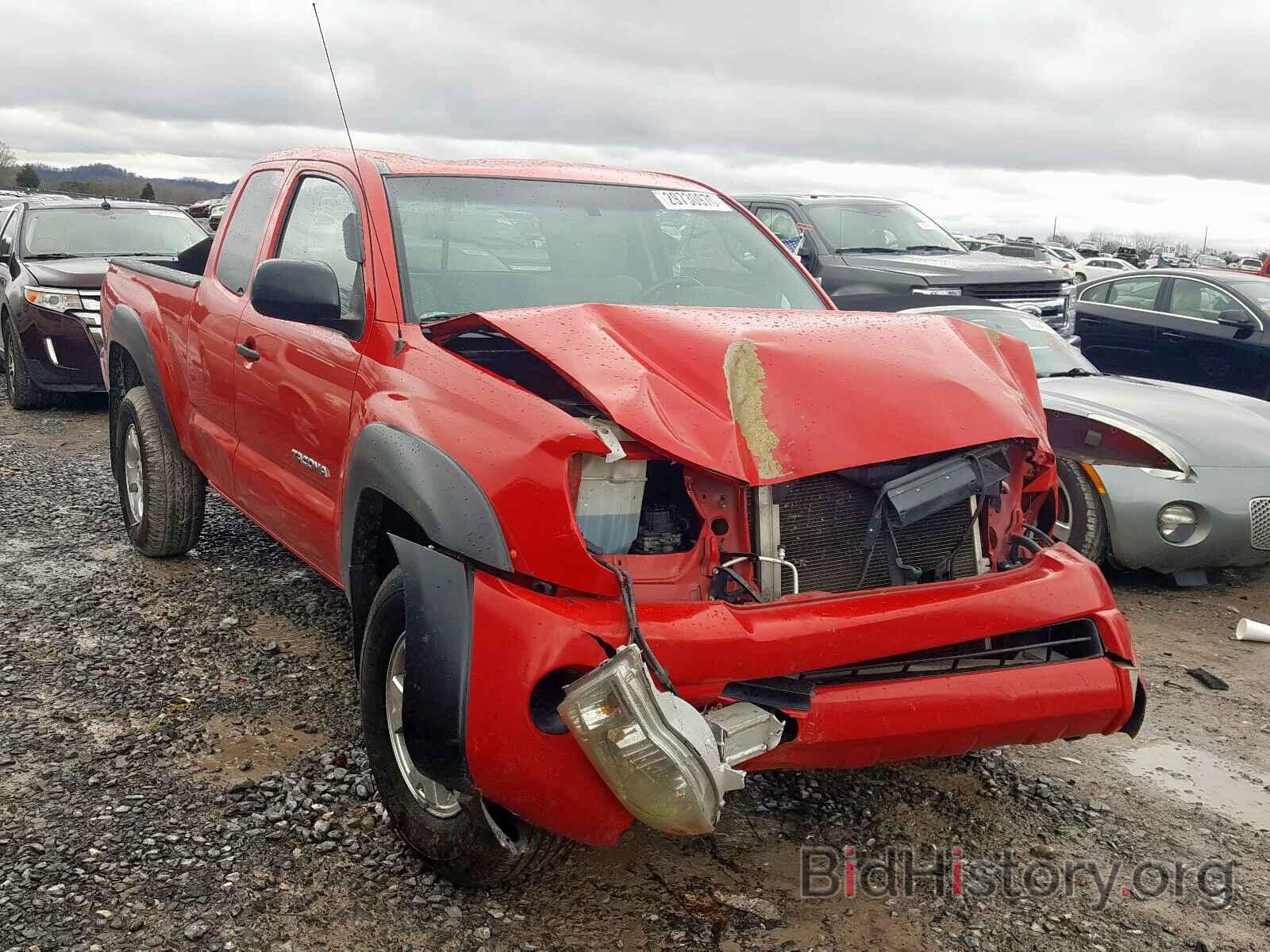 Photo 5TEUX42N88Z474755 - TOYOTA TACOMA 2008