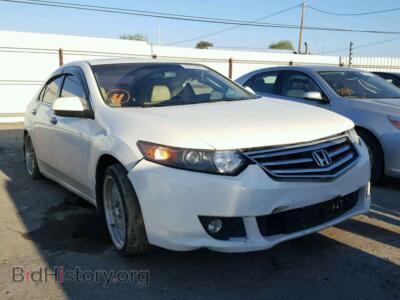 2010 Acura TSX, белый — VIN JH4CU2F62AC033458, Copart