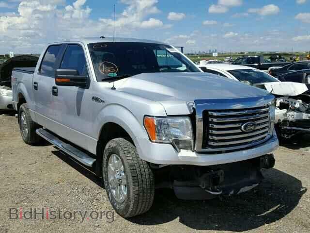 Фотография 1FTFW1EF4CFB04732 - FORD F150 2012