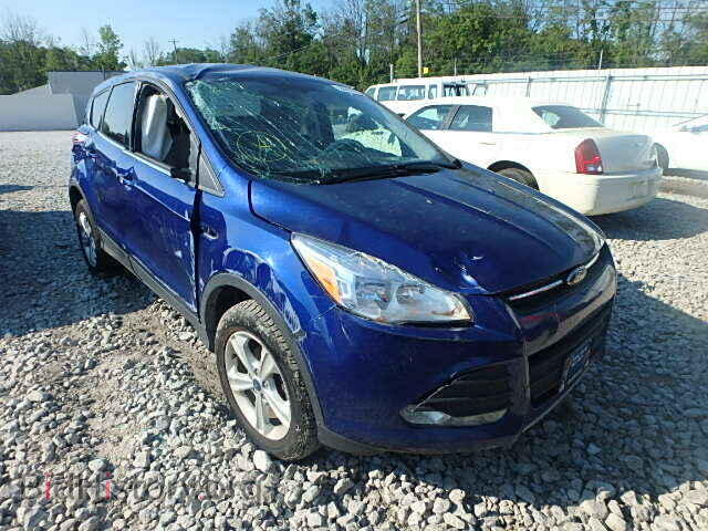 Фотография 1FMCU0GX7DUC17222 - FORD ESCAPE 2013