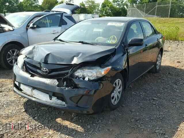 2011 TOYOTA COROLLA - VIN: JTDBU4EE4B9131519 - Фото 2