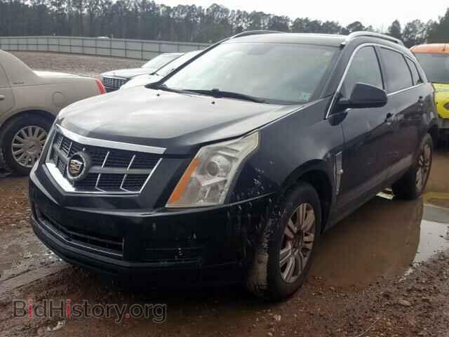 2011 CADILLAC SRX - VIN: 3GYFNAEY3BS528752 - Фото 2
