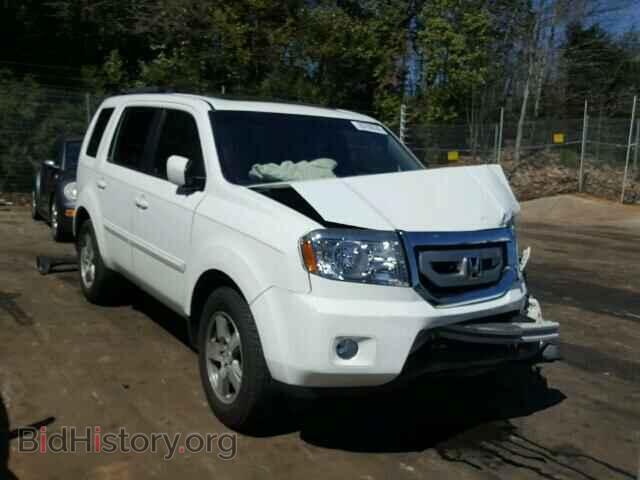 Фотография 5FNYF3H58BB010105 - HONDA PILOT 2011