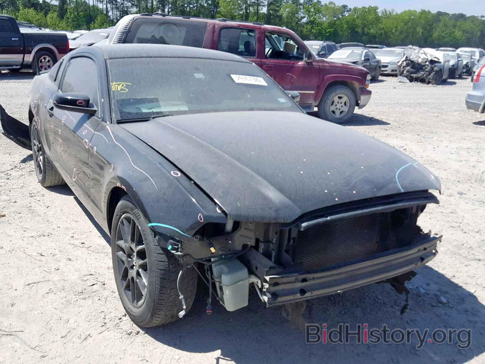 Photo 1ZVBP8AM7E5306043 - FORD MUSTANG 2014