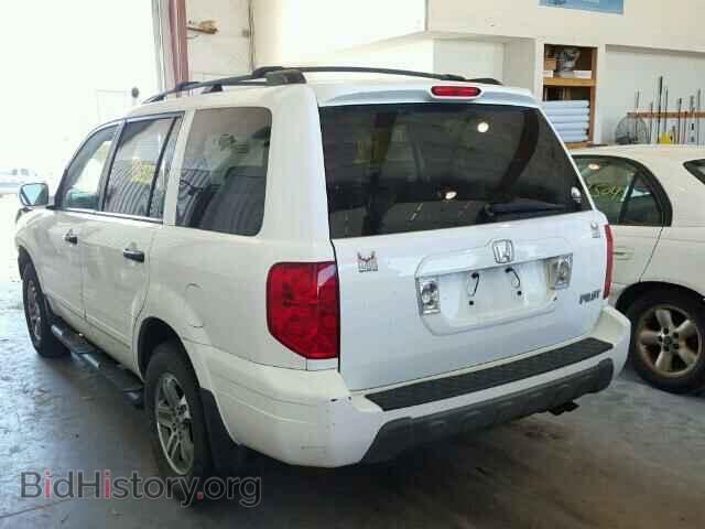 2005 HONDA PILOT - VIN: 2HKYF18645H531454 - Фото 3