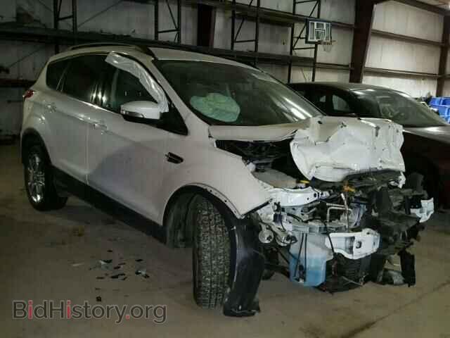 Фотография 1FMCU0H96DUC09385 - FORD ESCAPE 2013