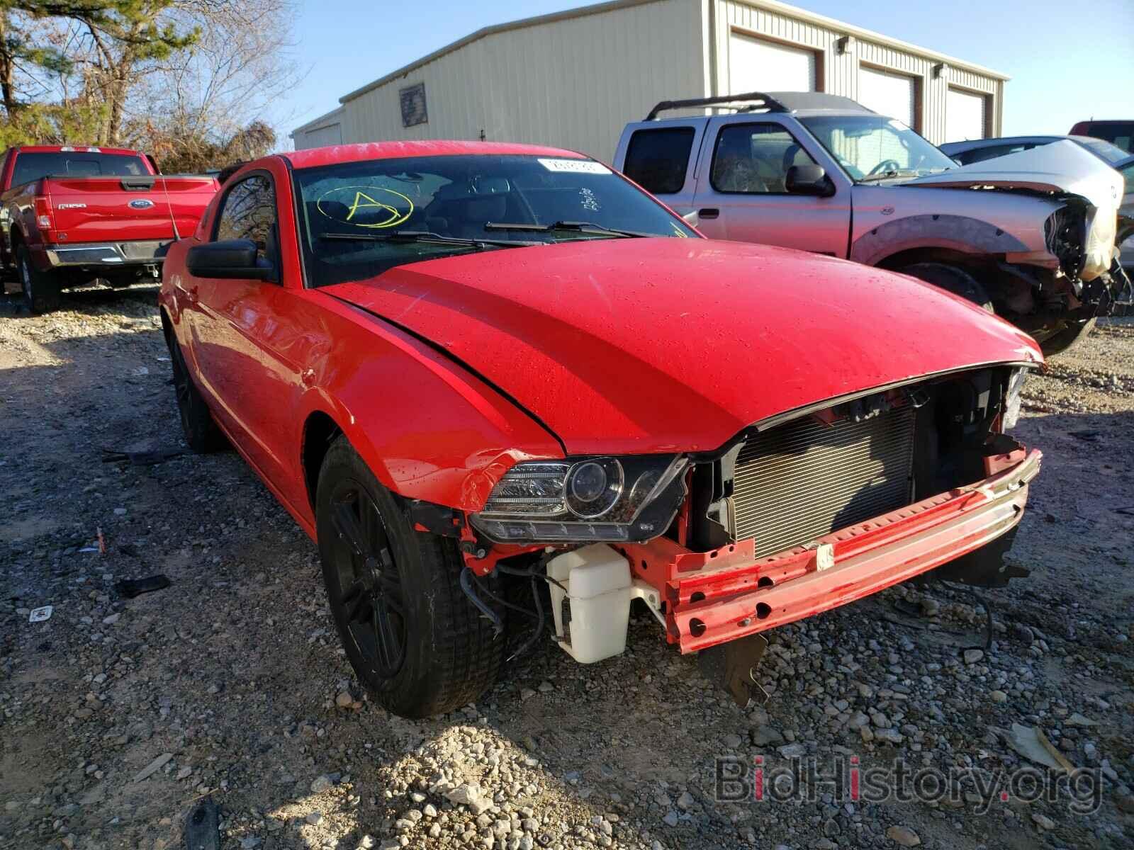 Photo 1ZVBP8AM4E5239580 - FORD MUSTANG 2014