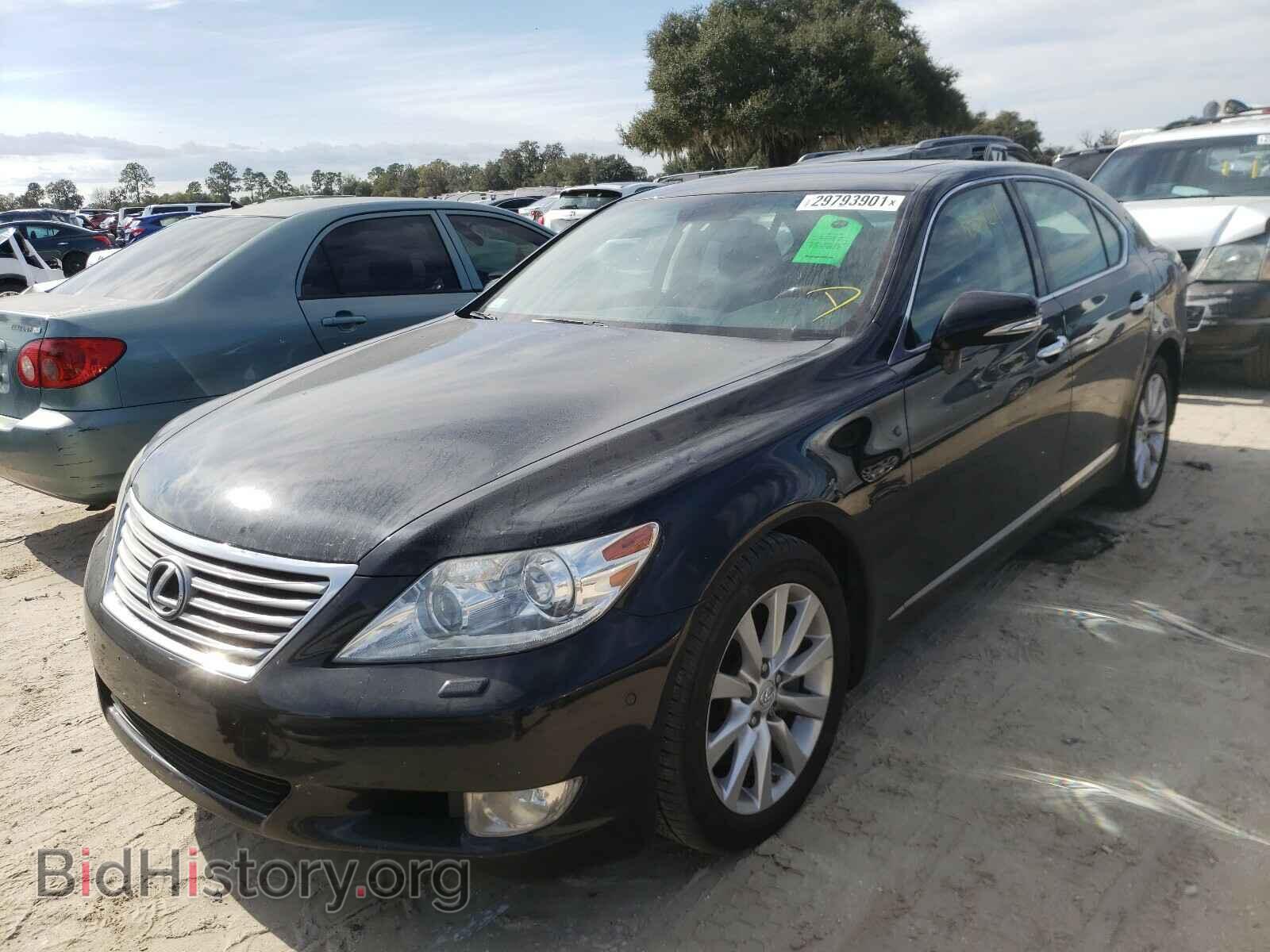 2011 LEXUS LS460 - VIN: JTHCL5EF1B5012435 - Фото 2