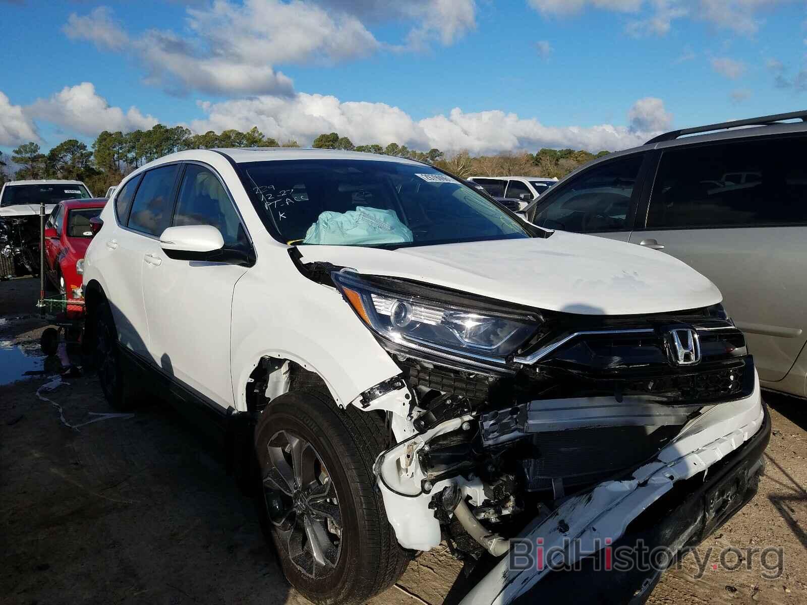 Photo 2HKRW2H59LH687391 - HONDA CRV 2020