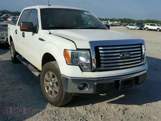 Фотография 1FTFW1EF9CFC22954 - FORD F150 2012